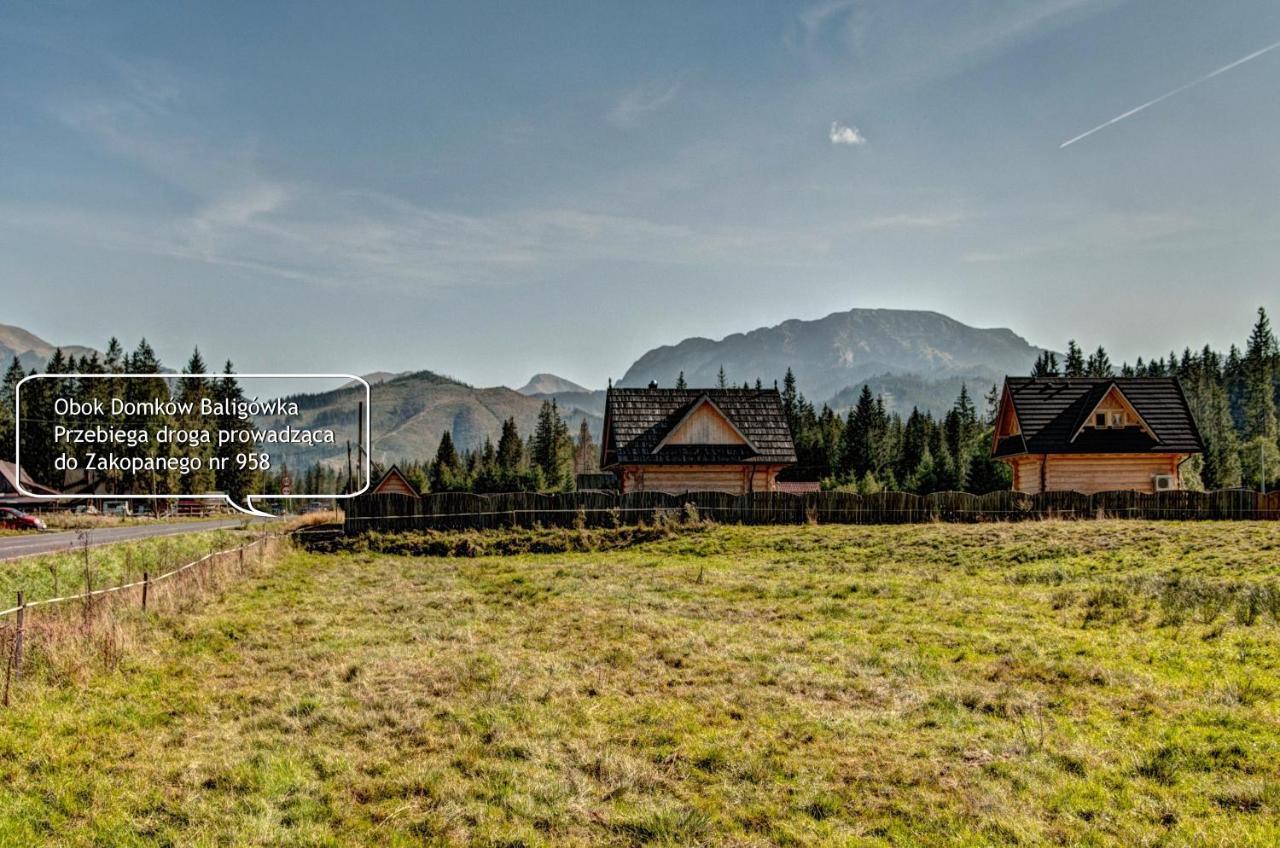 Domek Regionalny Baligowka Witow  Exterior photo